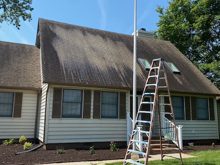 Roof Cleaning