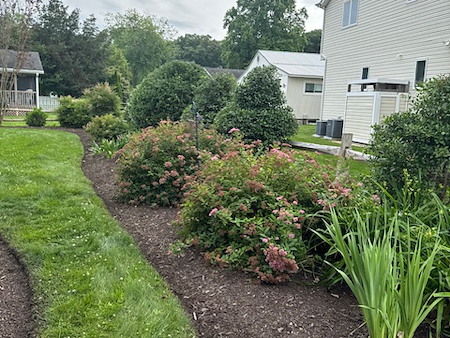 Coastal Landscaping Ideas That Stand Up To Salt and Wind