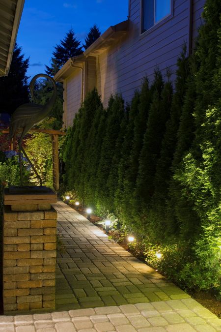 Landscape Lighting Designs That Make Your Bethany Beach Home Pop At Night