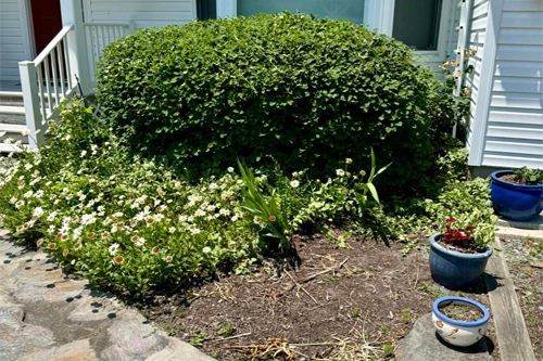before-image