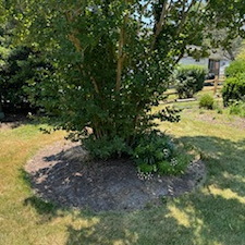 Mulching-in-Bethany-Beach-DE-Landscape-Bed-Refresh 3