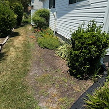 Mulching-in-Bethany-Beach-DE-Landscape-Bed-Refresh 5