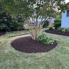 Mulching-in-Bethany-Beach-DE-Landscape-Bed-Refresh 2