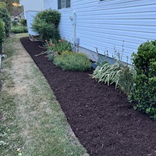 Mulching-in-Bethany-Beach-DE-Landscape-Bed-Refresh 4