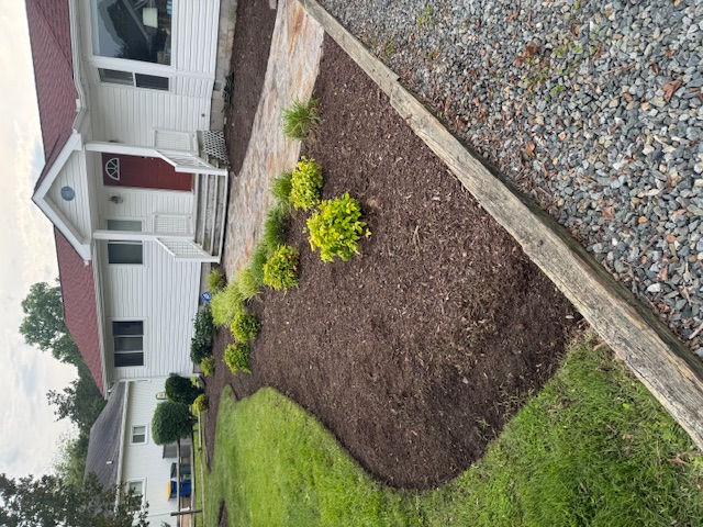Seasonal Cleanup & Shrub Removal in Bethany Beach, Delaware