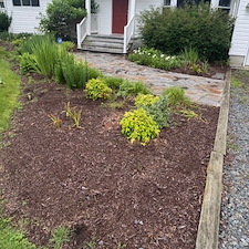 Seasonal-Cleanup-Shrub-Removal-in-Bethany-Beach-Delaware 17