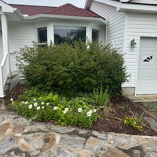 Seasonal-Cleanup-Shrub-Removal-in-Bethany-Beach-Delaware 15