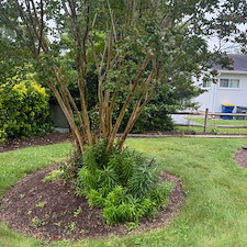 Seasonal-Cleanup-Shrub-Removal-in-Bethany-Beach-Delaware 13