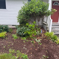 Seasonal-Cleanup-Shrub-Removal-in-Bethany-Beach-Delaware 11