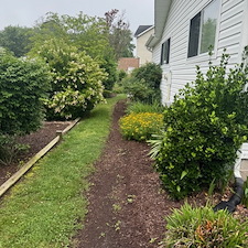 Seasonal-Cleanup-Shrub-Removal-in-Bethany-Beach-Delaware 9