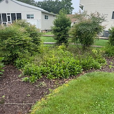 Seasonal-Cleanup-Shrub-Removal-in-Bethany-Beach-Delaware 7