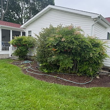 Seasonal-Cleanup-Shrub-Removal-in-Bethany-Beach-Delaware 5