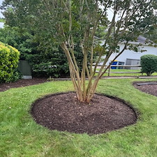 Seasonal-Cleanup-Shrub-Removal-in-Bethany-Beach-Delaware 12