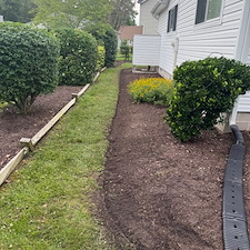 Seasonal-Cleanup-Shrub-Removal-in-Bethany-Beach-Delaware 8