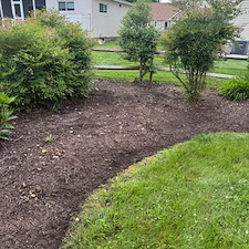 Seasonal-Cleanup-Shrub-Removal-in-Bethany-Beach-Delaware 6