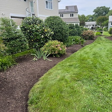 Seasonal-Cleanup-Shrub-Removal-in-Bethany-Beach-Delaware 2
