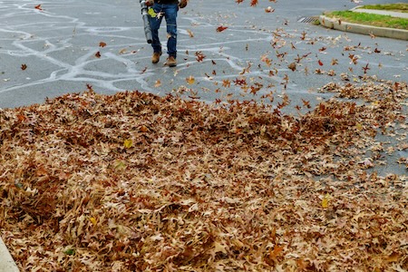 Commercial Leaf Removal