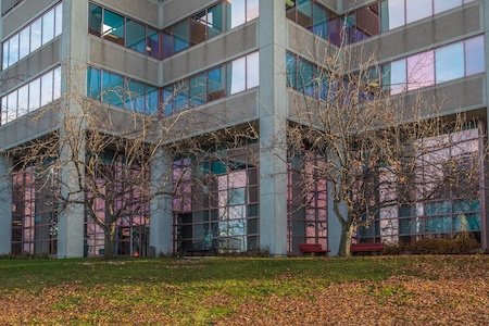 Commercial Seasonal Cleanups