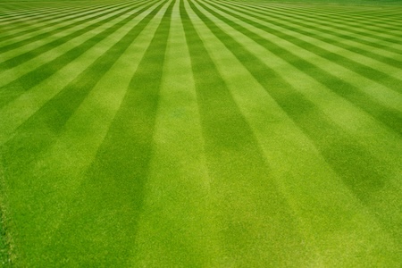 Commercial Turf Management