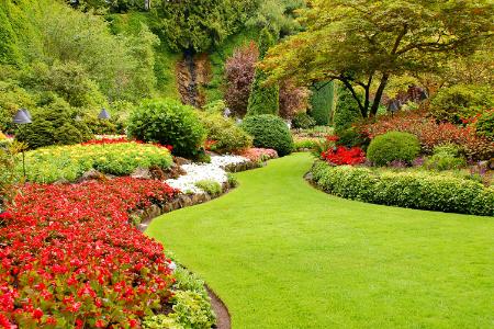 Landscape Design