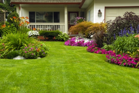 Landscape Maintenance